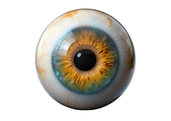 Eyeball 3D Icon: High-Quality PNG for Designers